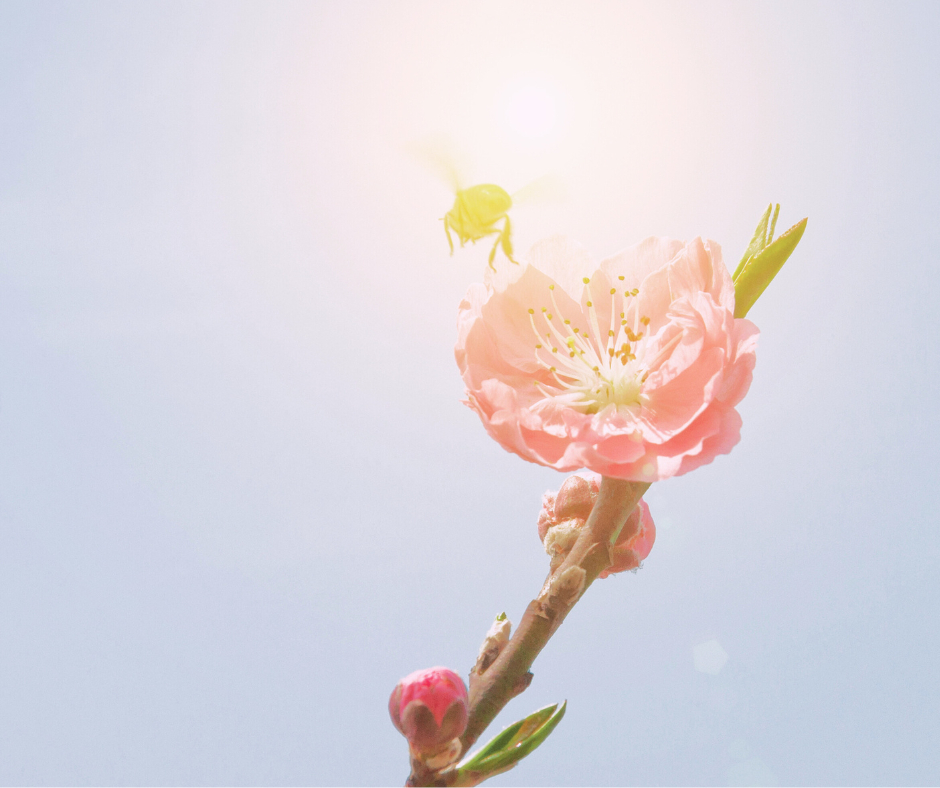 名称未設定のデザイン - 2024-03-05T011928.747.png