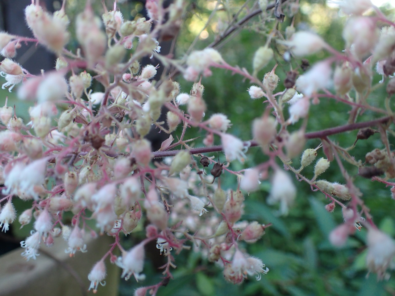 PB010921.JPG