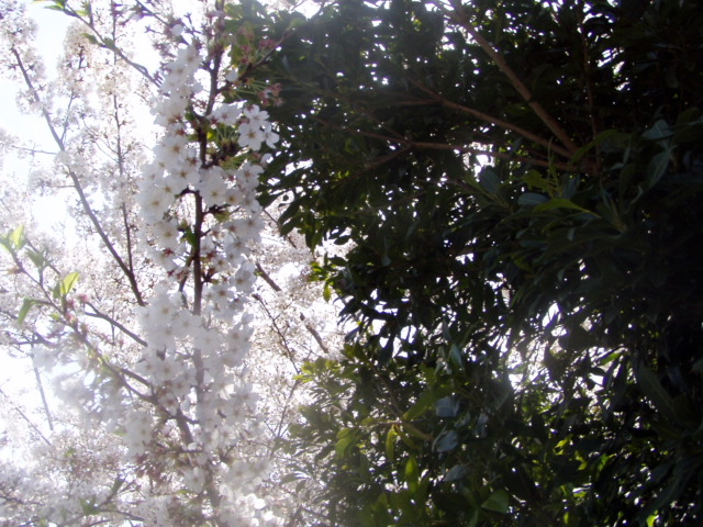 P1010163.JPG