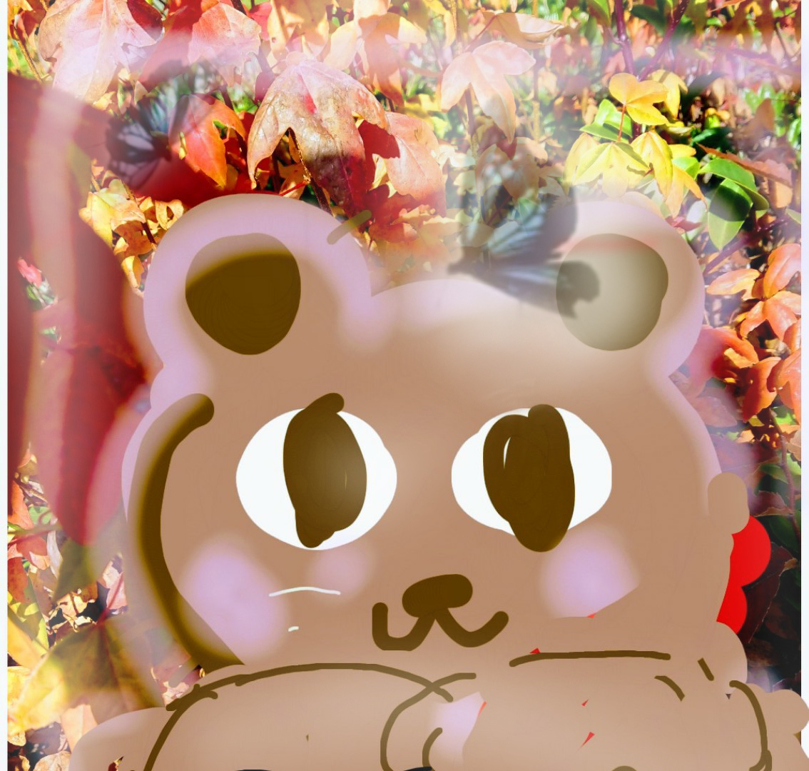 sketch-1731405810699.png