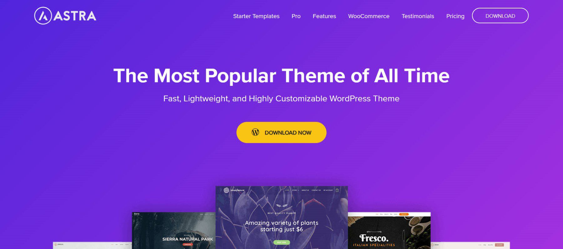 Astra-Theme-Homepage-January-2024.jpg