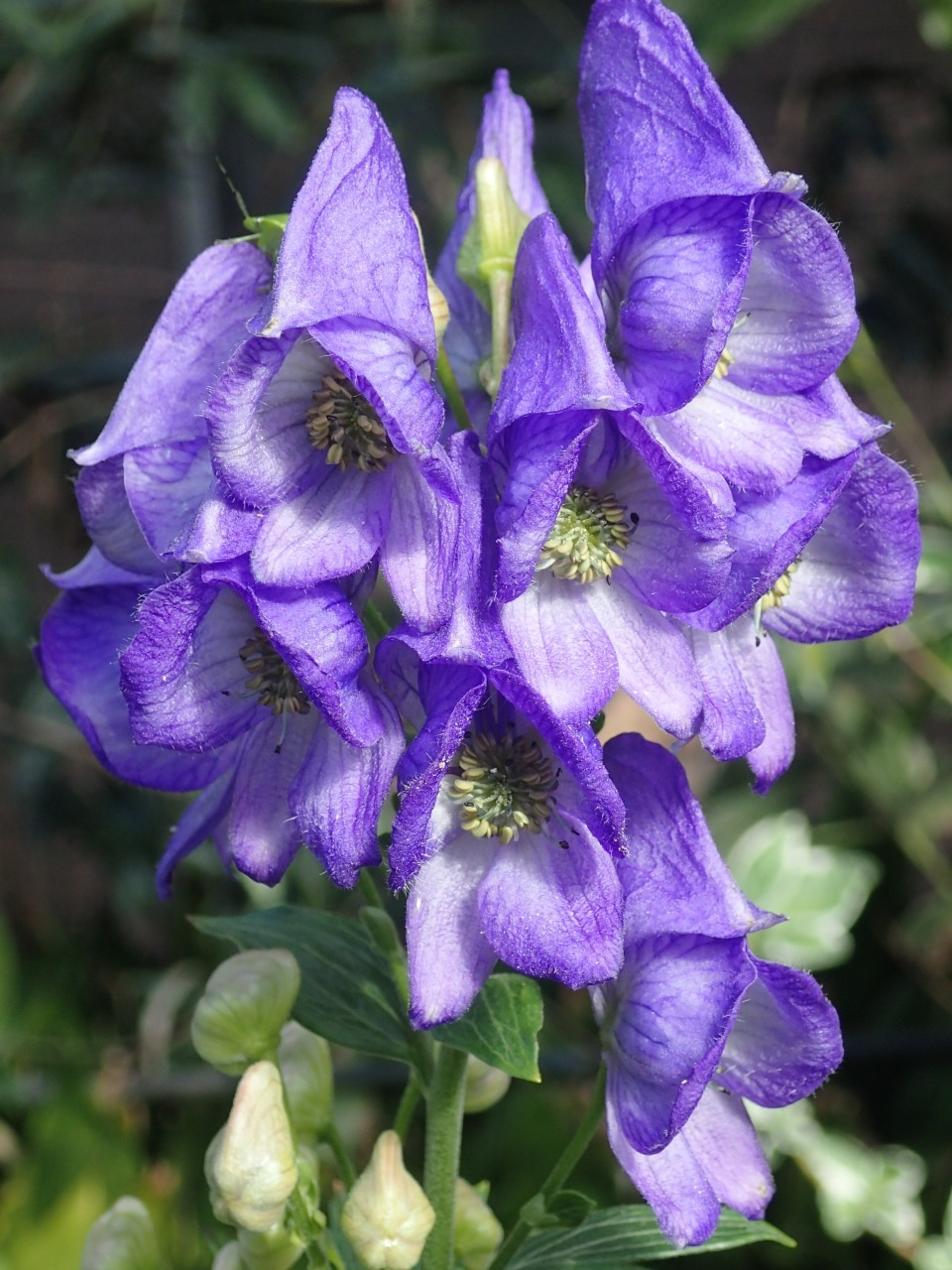 PB010364.JPG