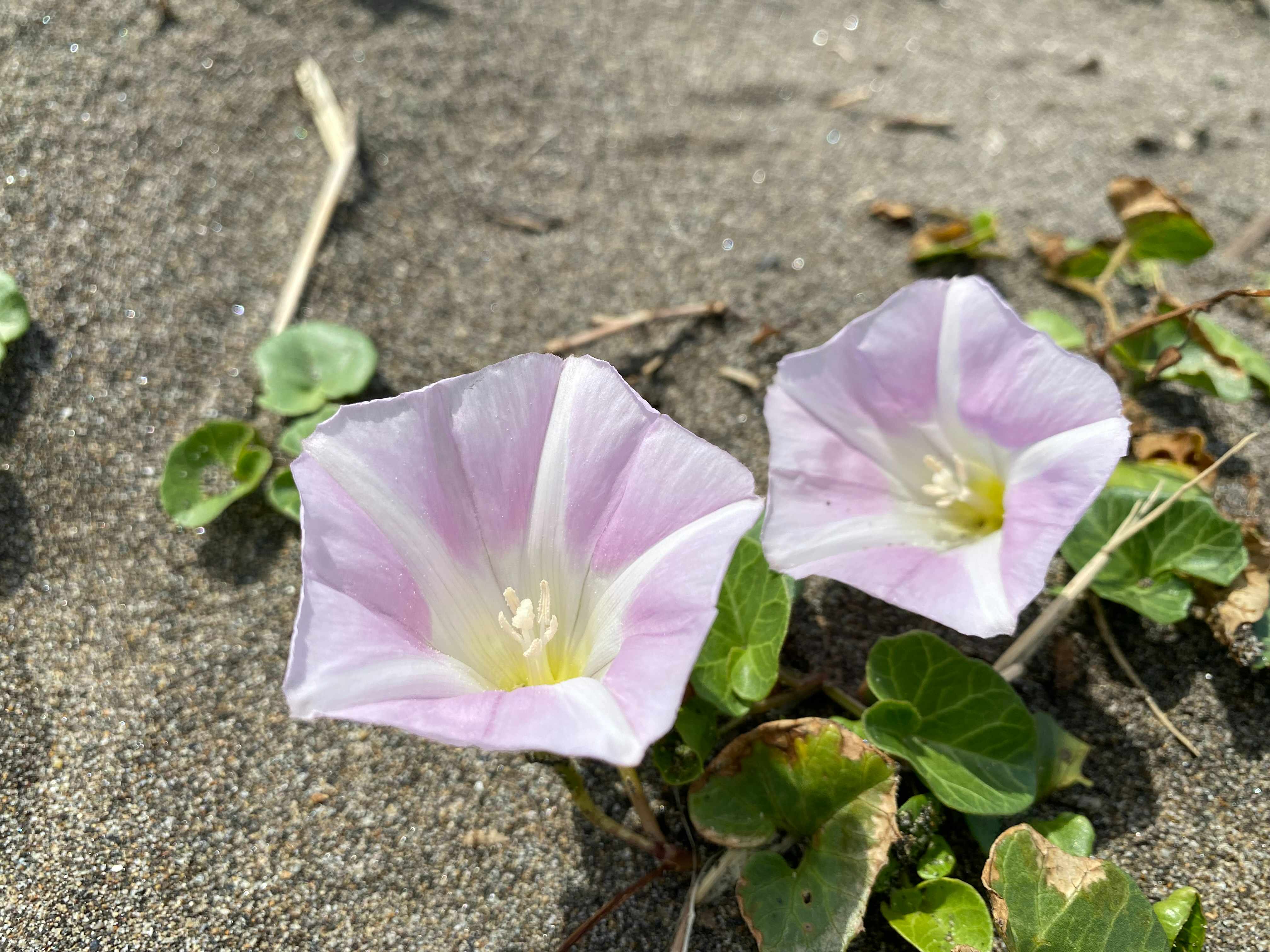 IMG_3210.jpeg