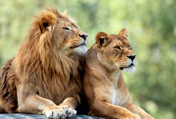 istockphoto-1027482604-612x612.jpg