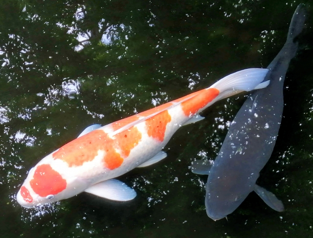 3615457_s.jpg