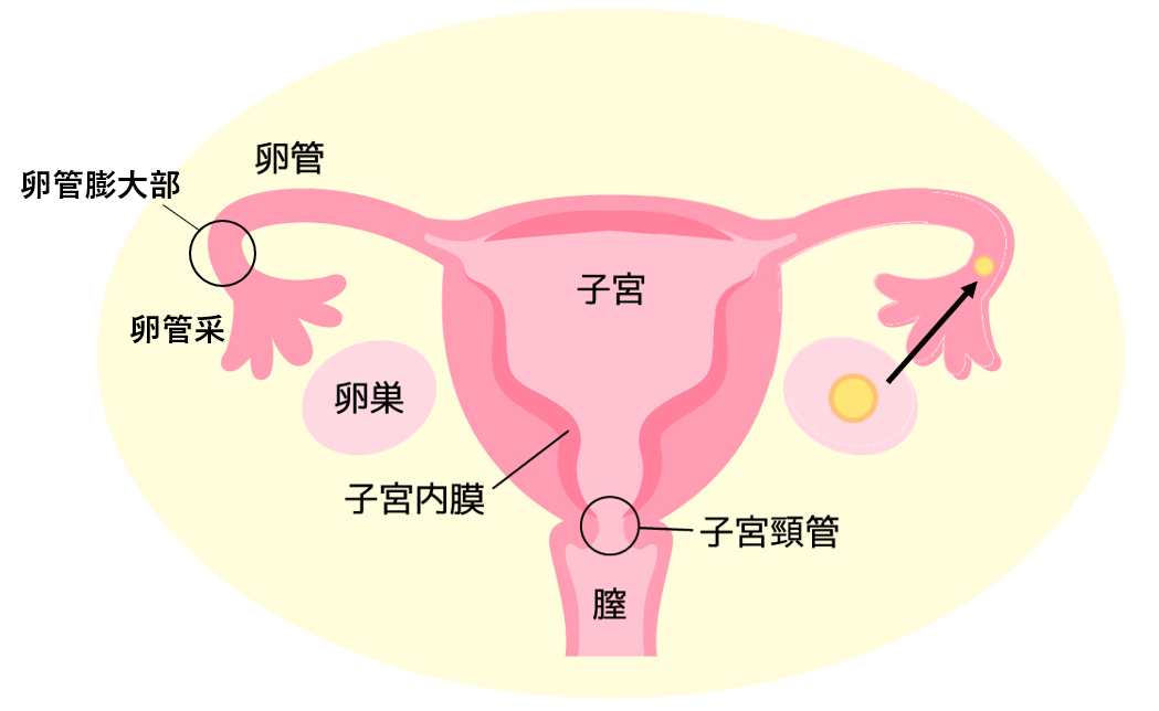 図1.png