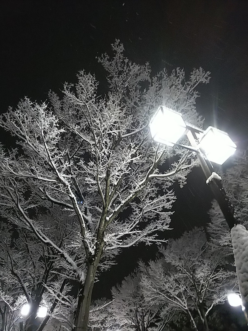 雪5.jpg