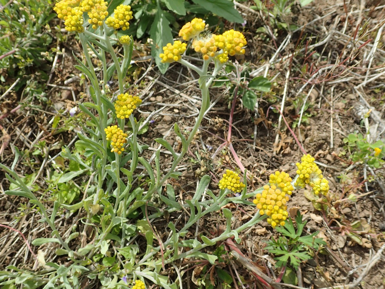 P4290317.JPG