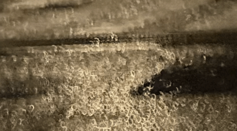 tempImage8Xs6Qk.gif