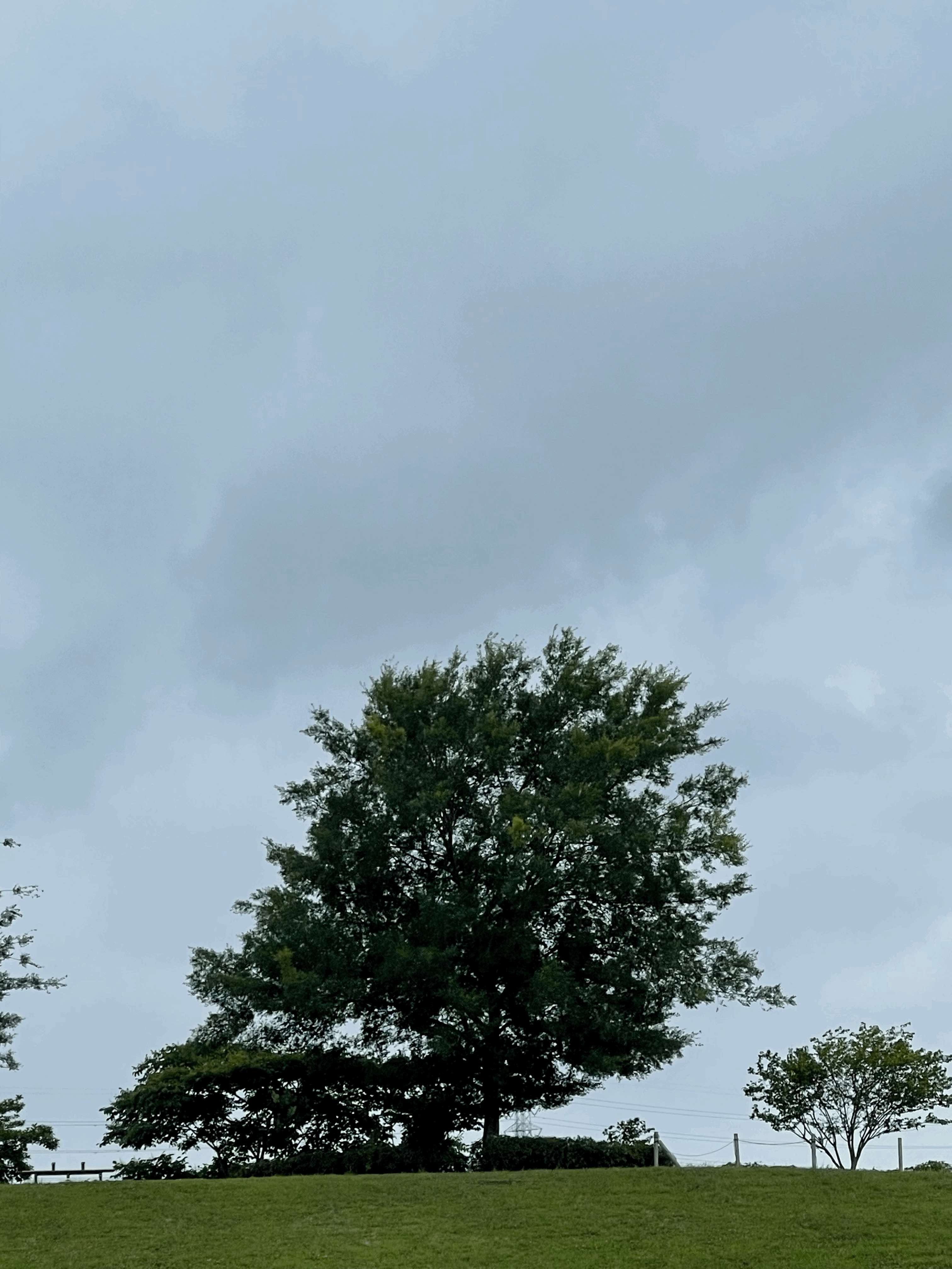 tempImage8kBT7B.gif