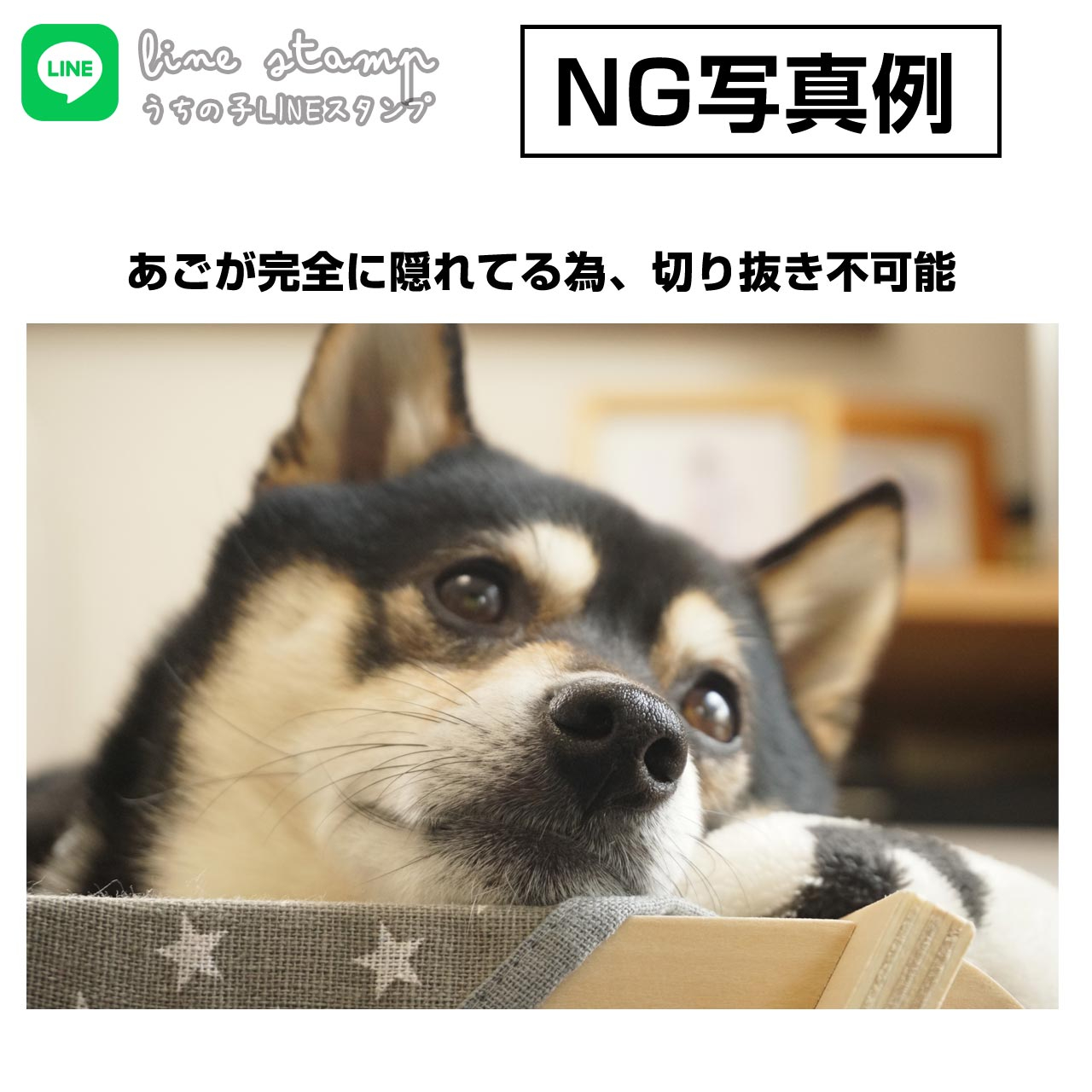 LINEstamp_badpic01.jpg