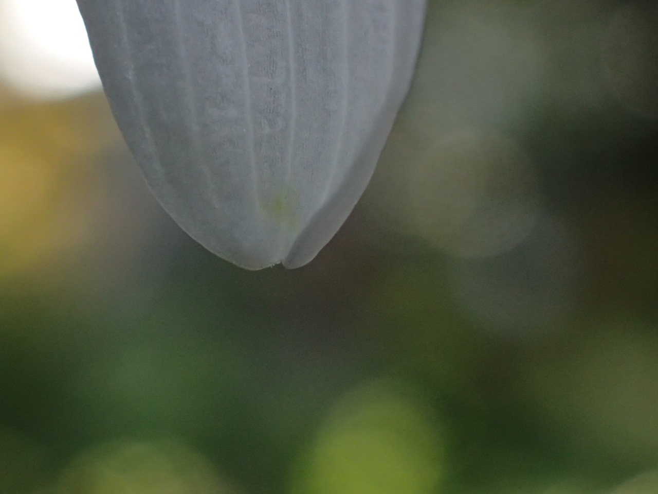 PB160277.JPG
