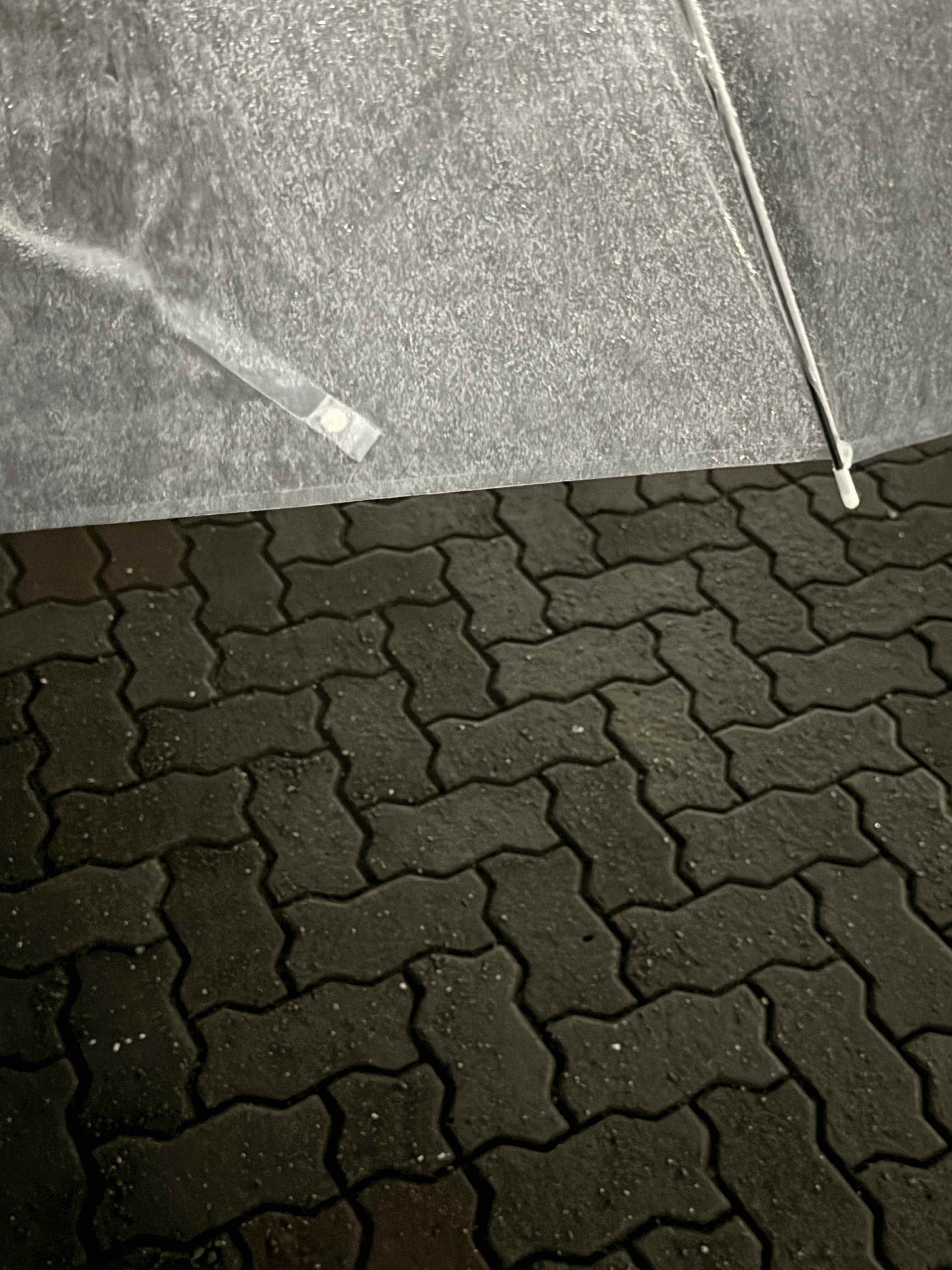 tempImageZ03oqe.gif