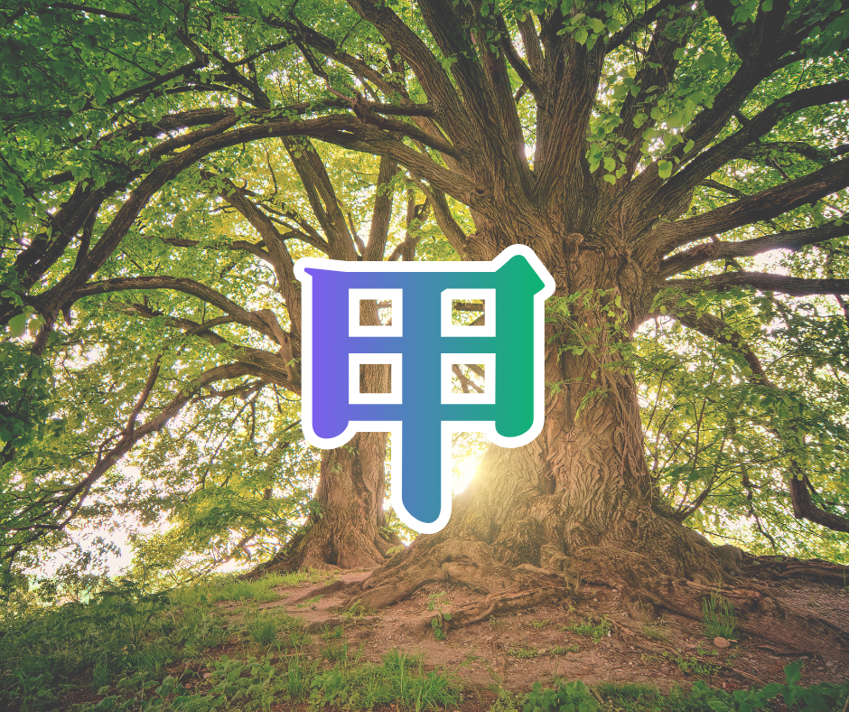 甲.png