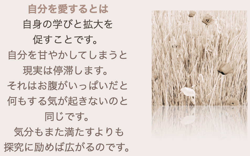 スクリーンショット 2024-08-04 22.15.17.png