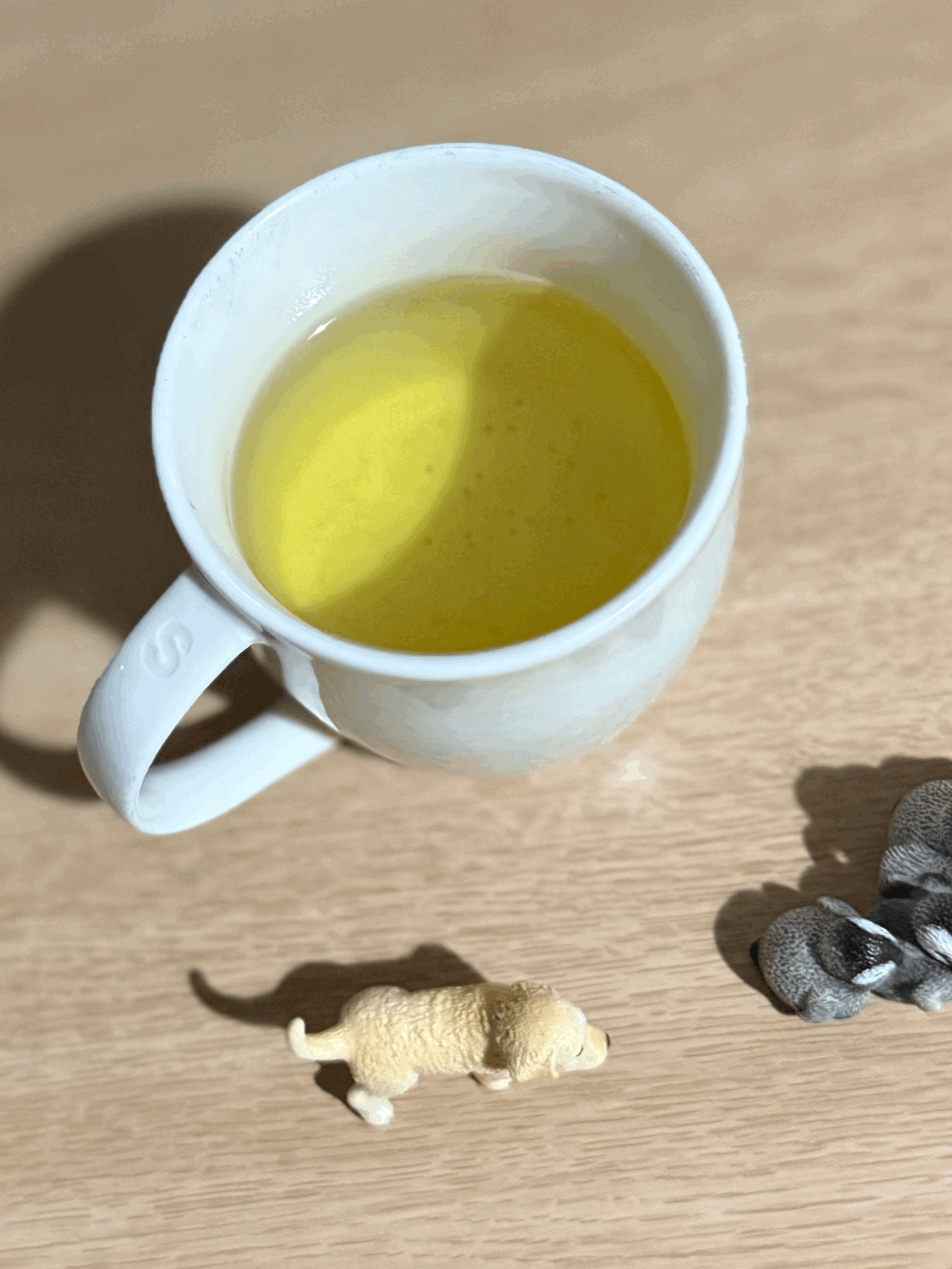 tempImageNiTbvc.gif