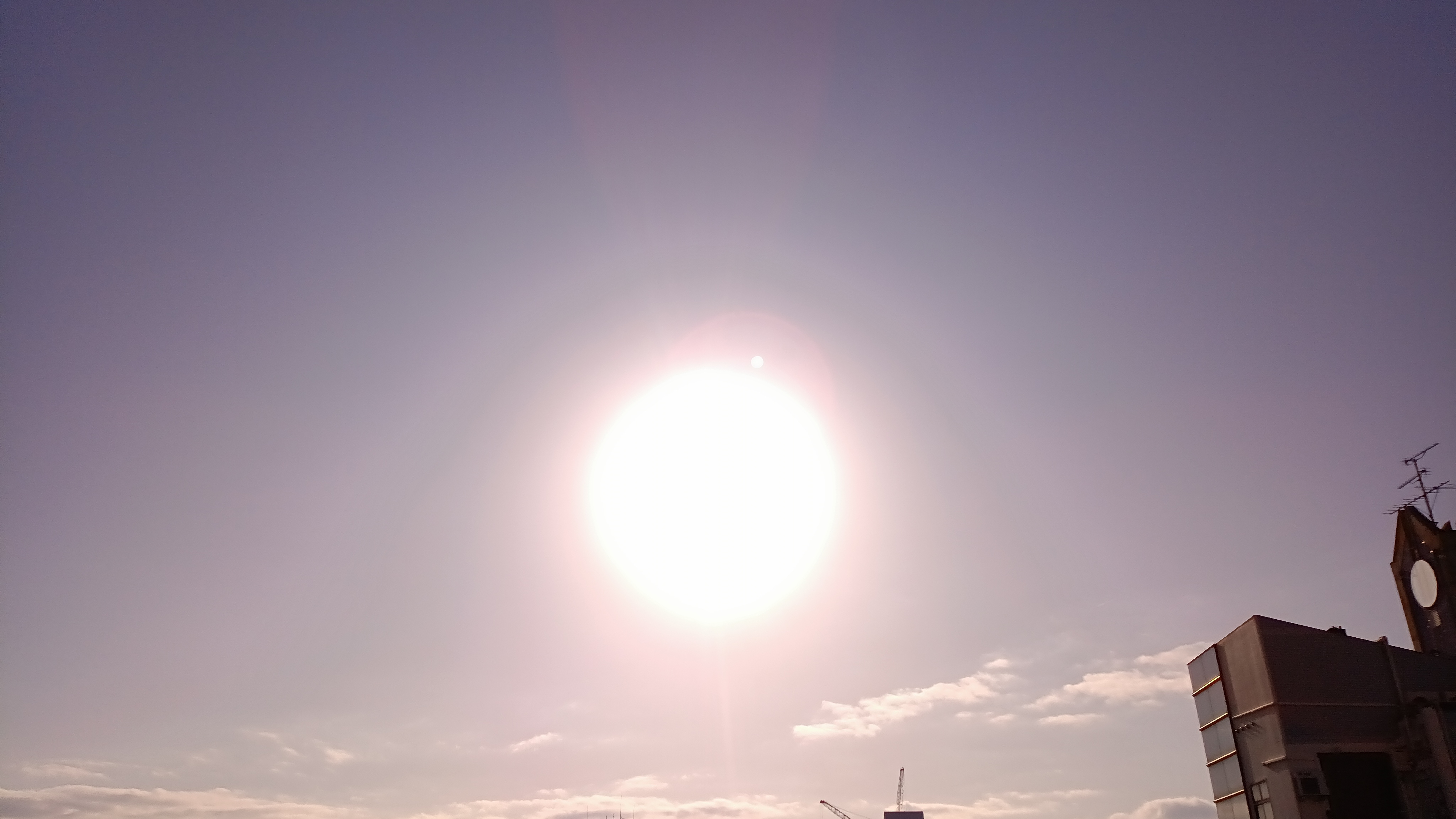 IMG_20250331_073931_597.jpg