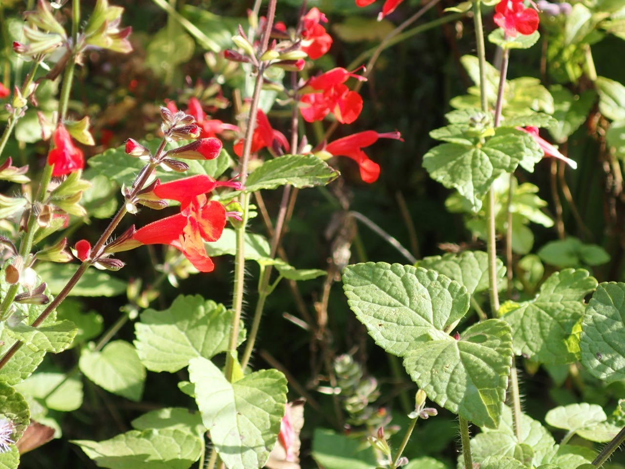 PB160828.JPG