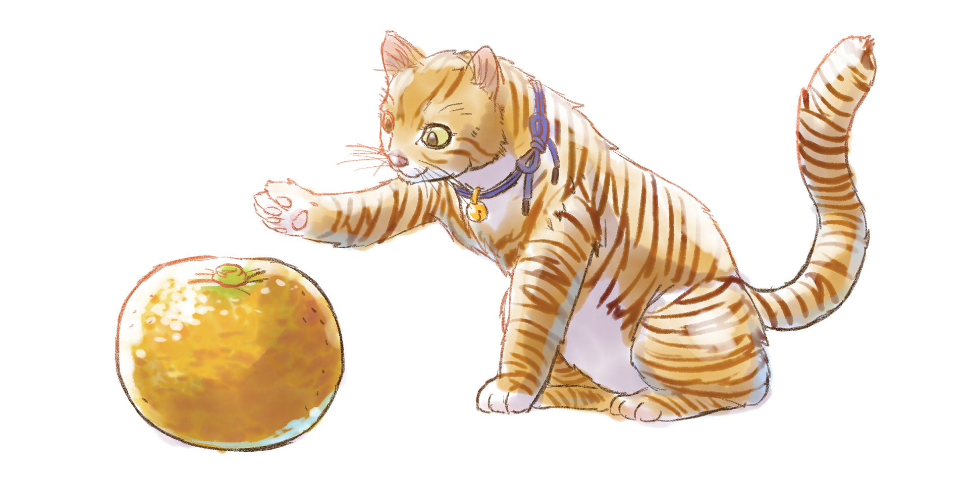 20220718-cat1.png