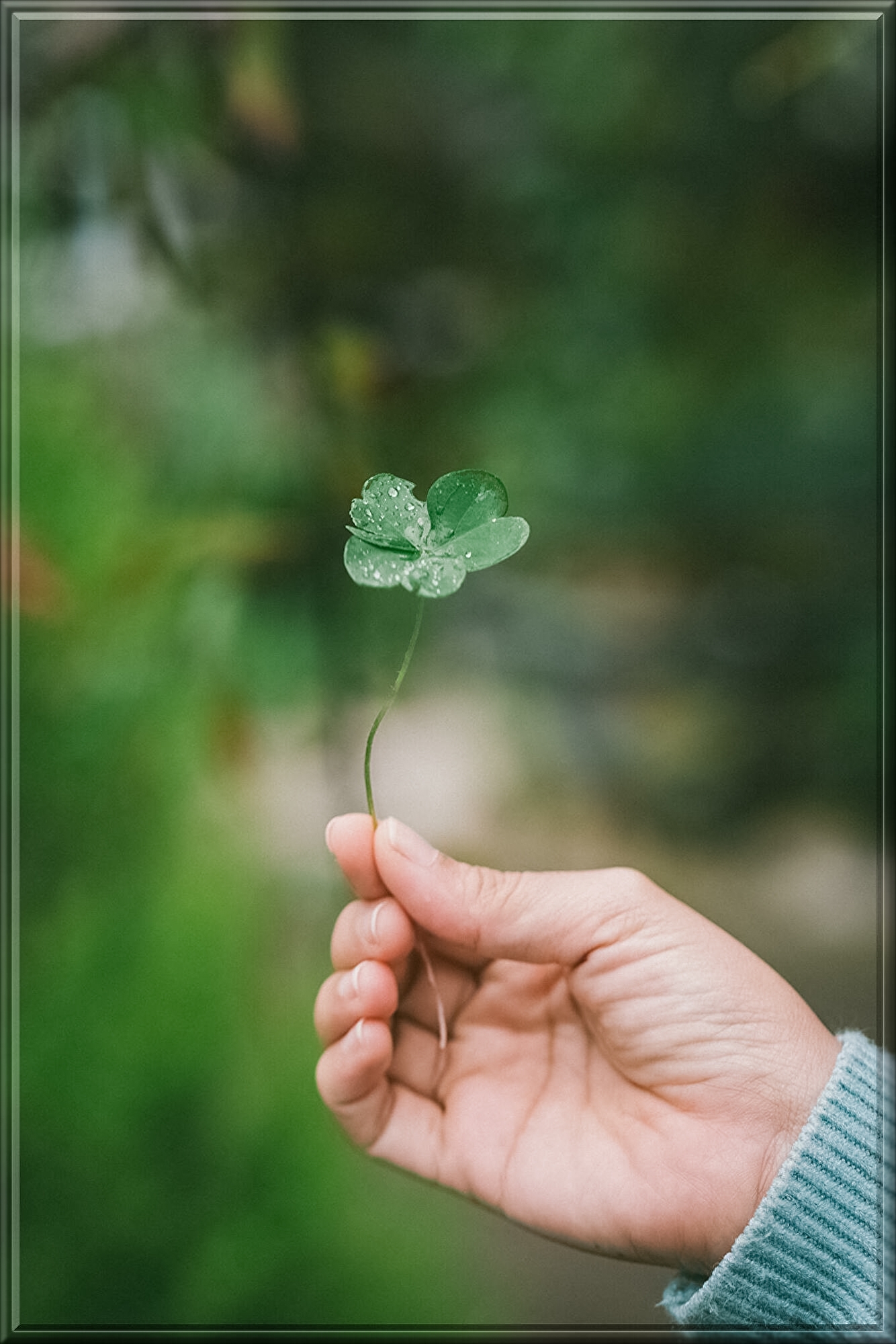 harris-vo-tv-9EmBJ1uk-unsplash.jpg