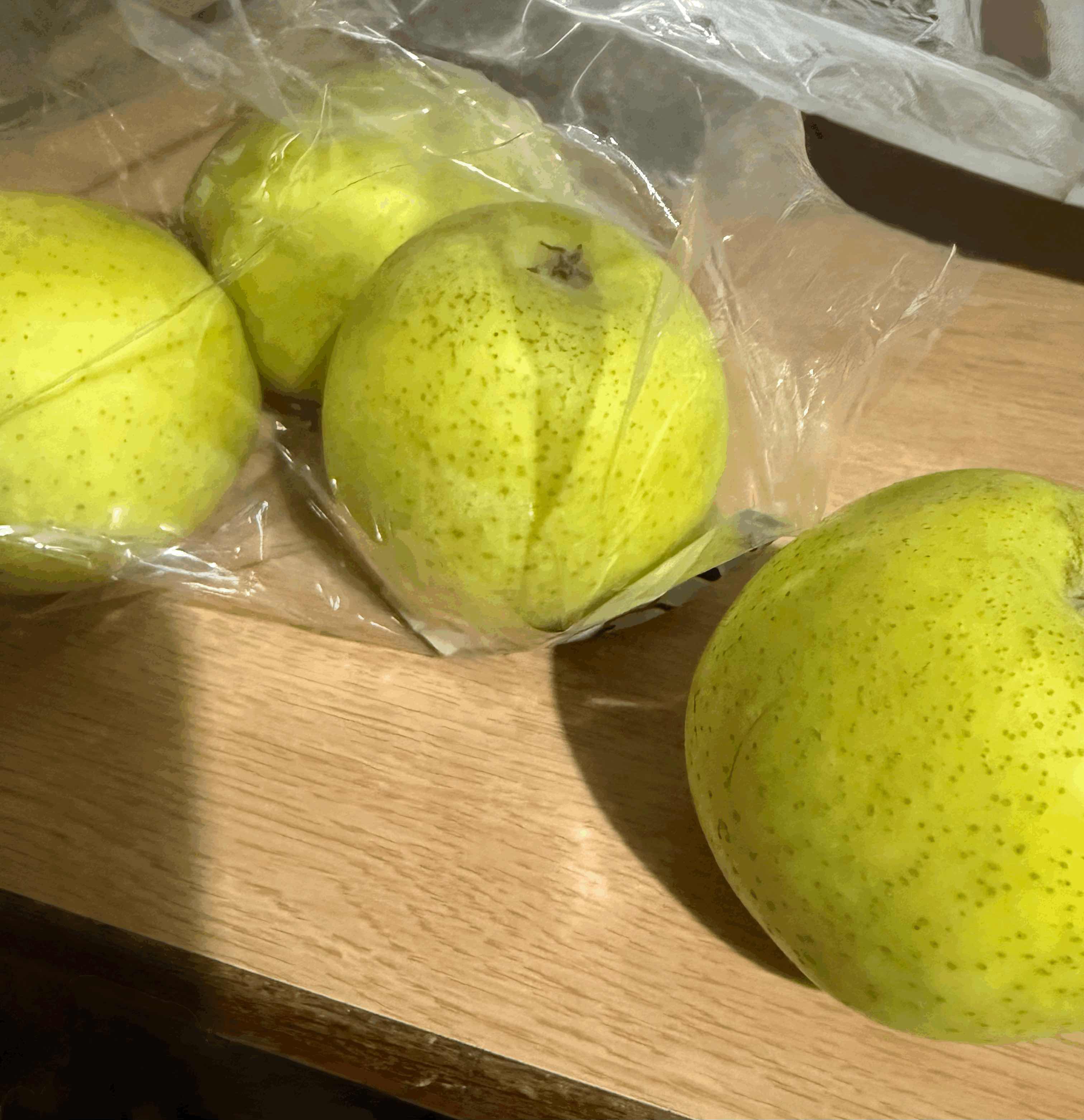 tempImageZ35T04.gif