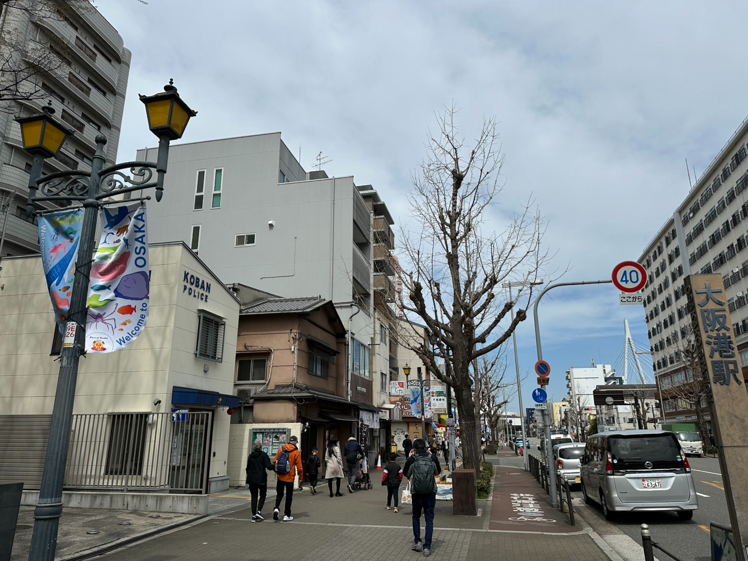 S__59006991_0.jpg