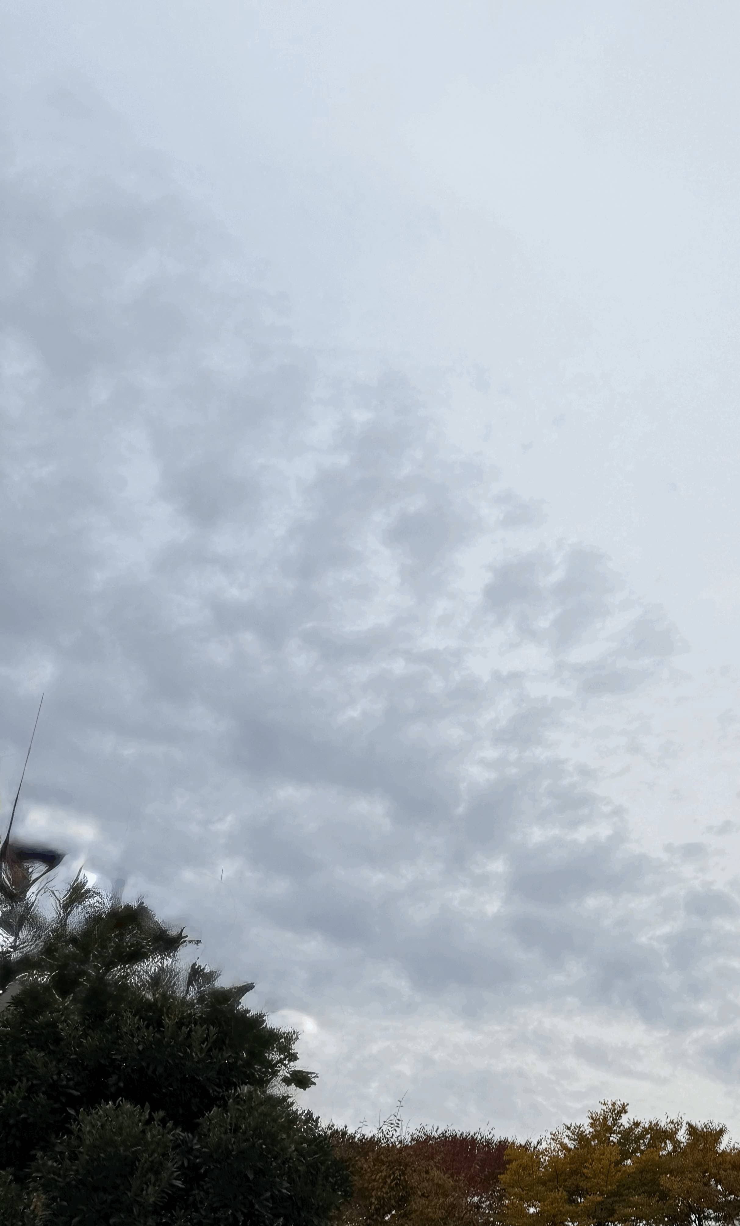tempImagexdAwJF.gif