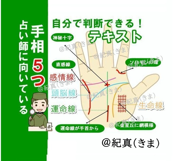 新・手相テキスト20260829.jpg