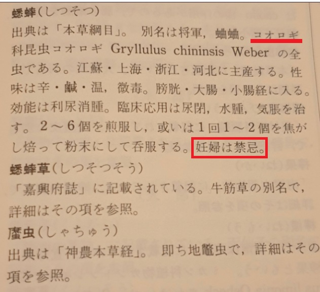 こおろぎ.jpg