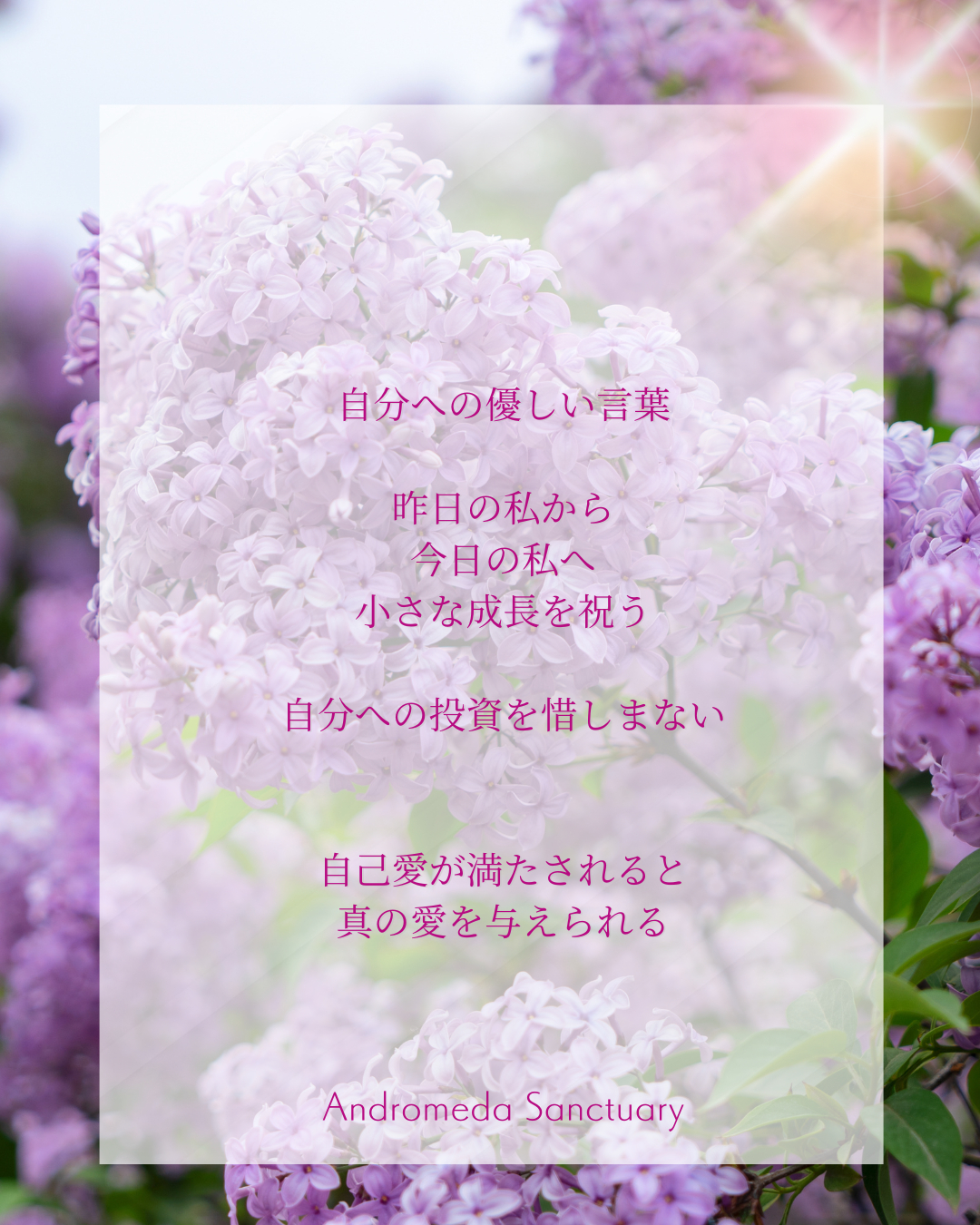 インスタ (Instagramの投稿（45）) (33).png