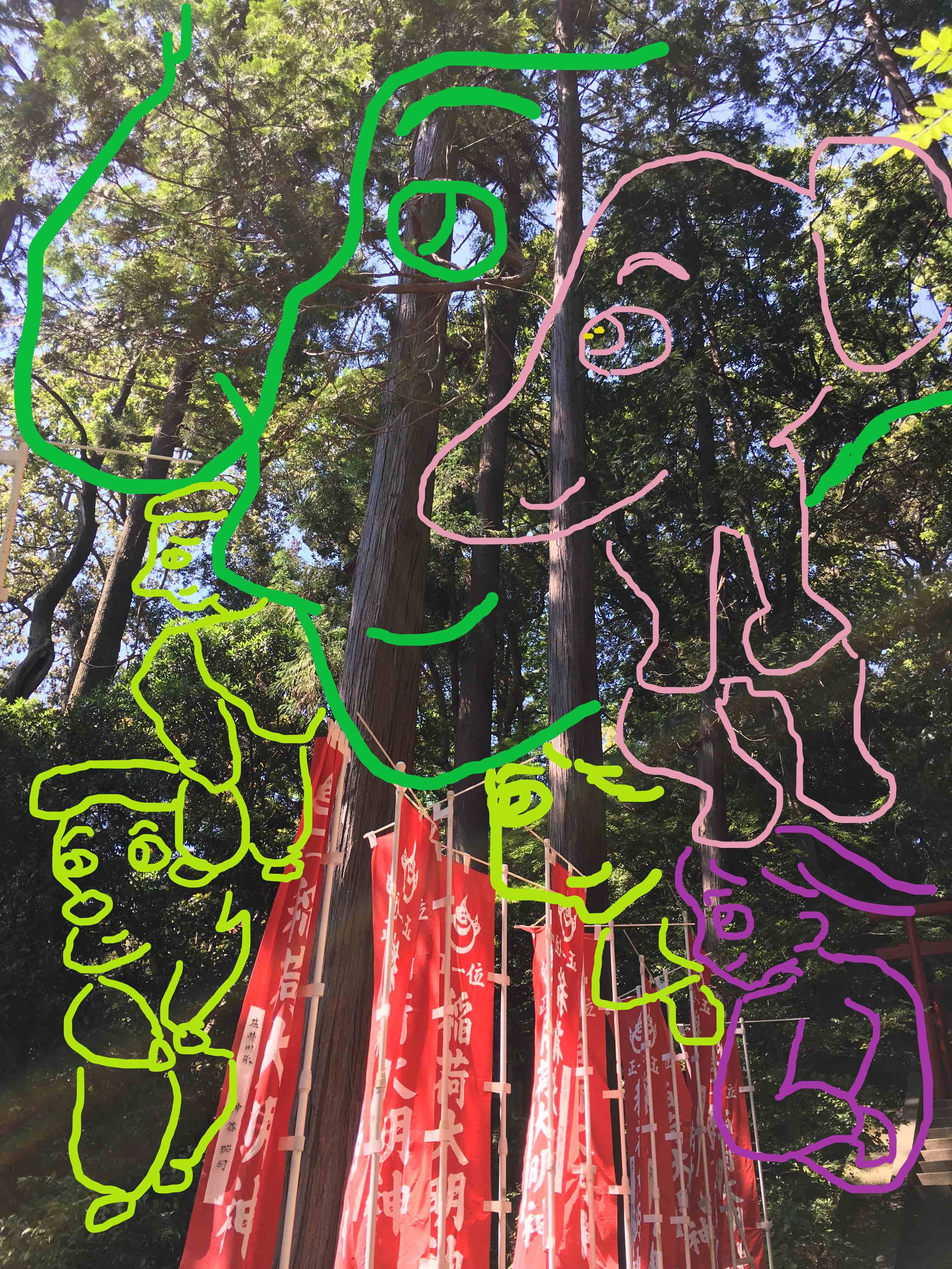セイちゃんの御神木4.jpg
