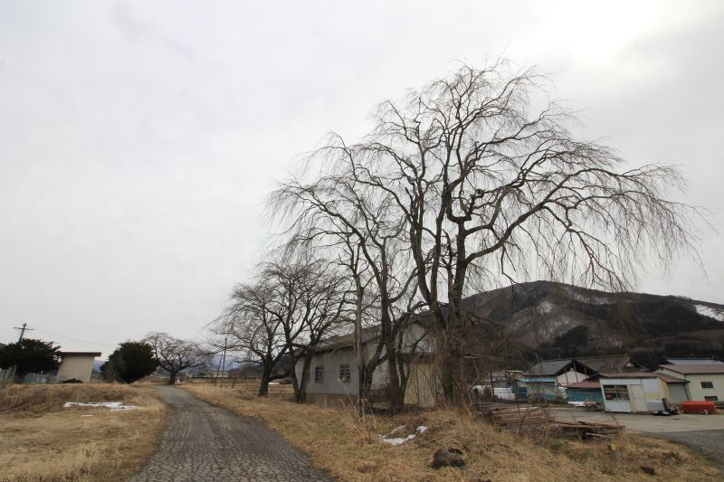 Photo23.JPG