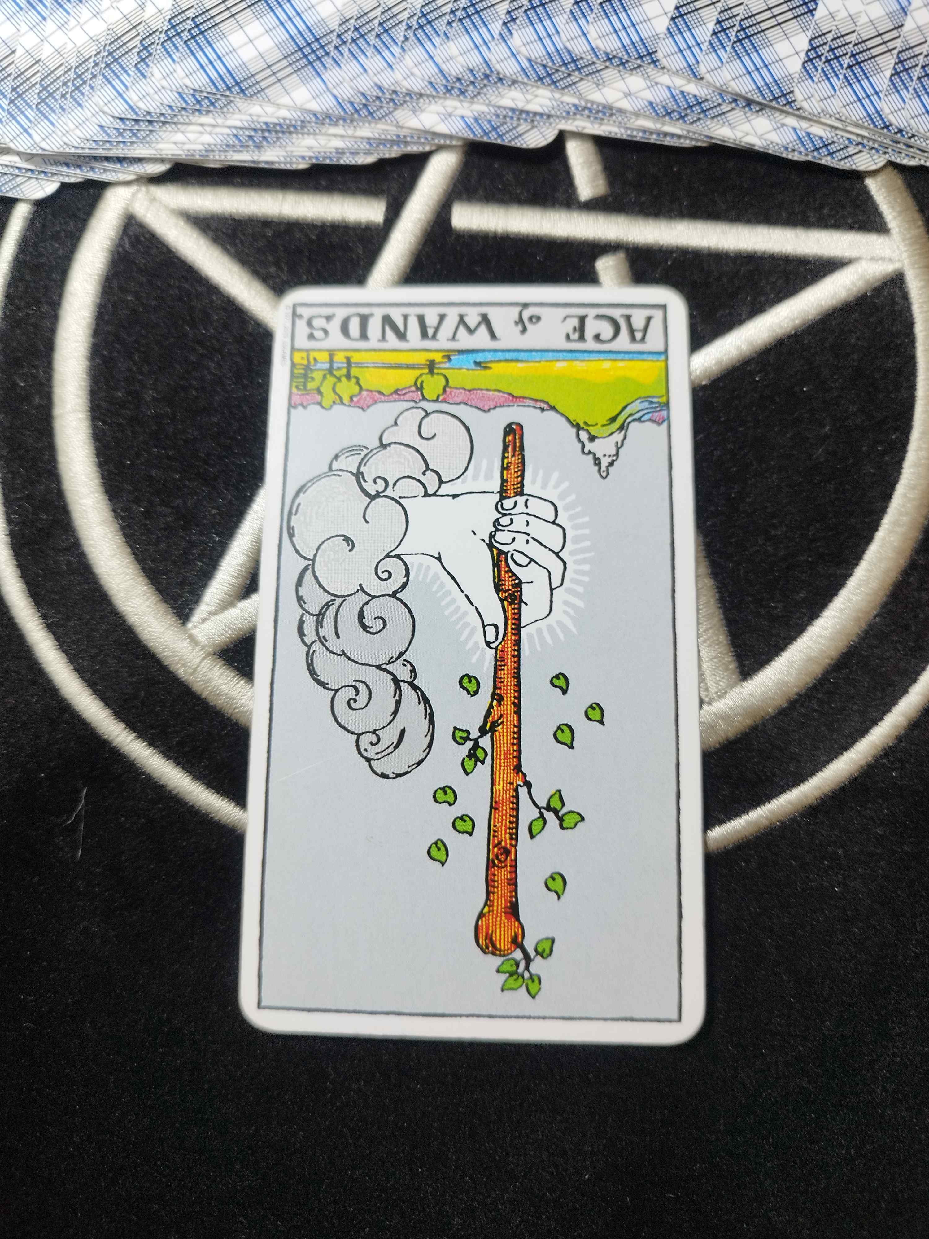 1000031152.jpg