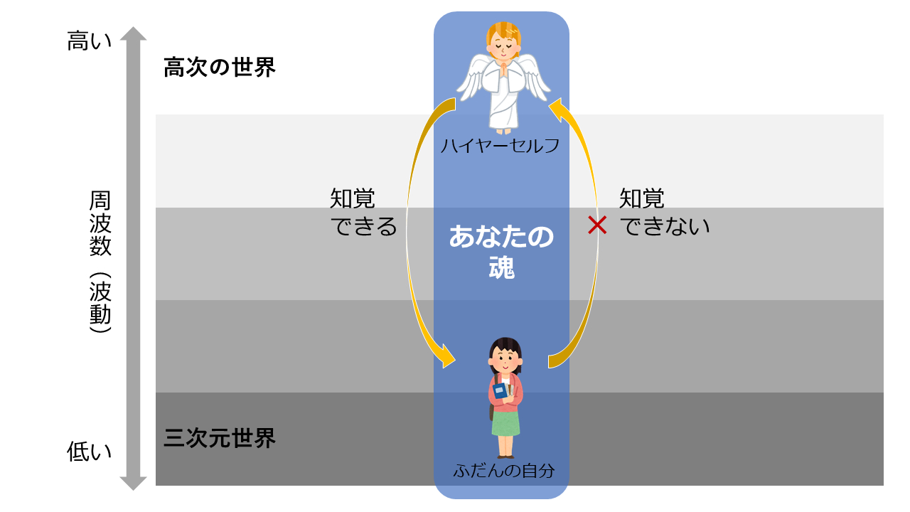 ハイヤー.png