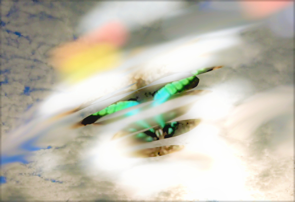sketch-1671340708053 (4).png