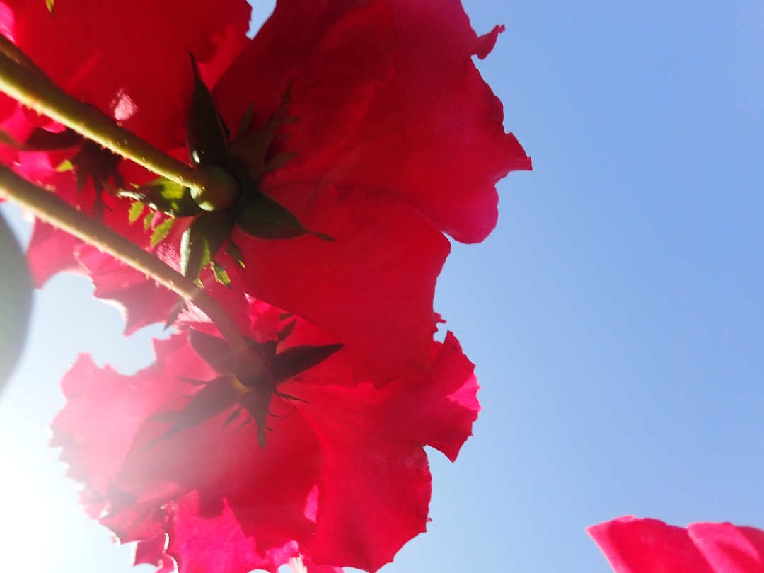 P5170771.JPG