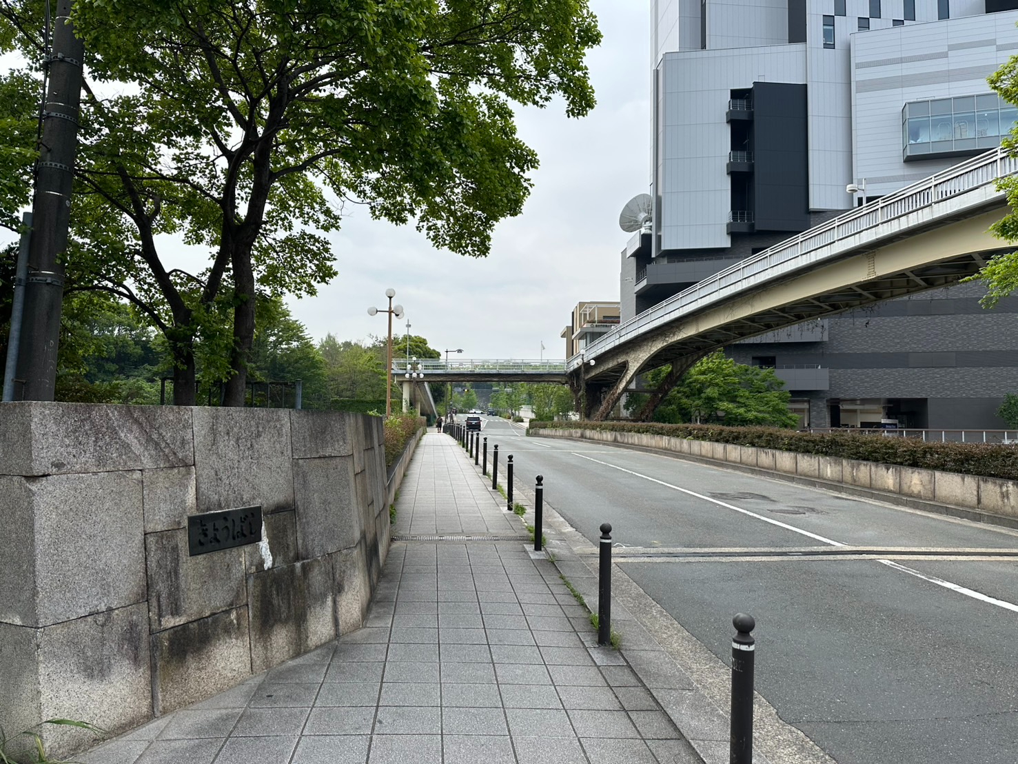 S__59908118_0.jpg