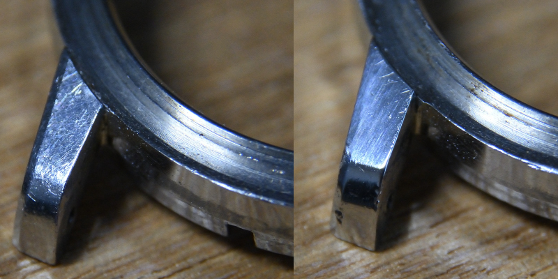 seahorse casepolish.png