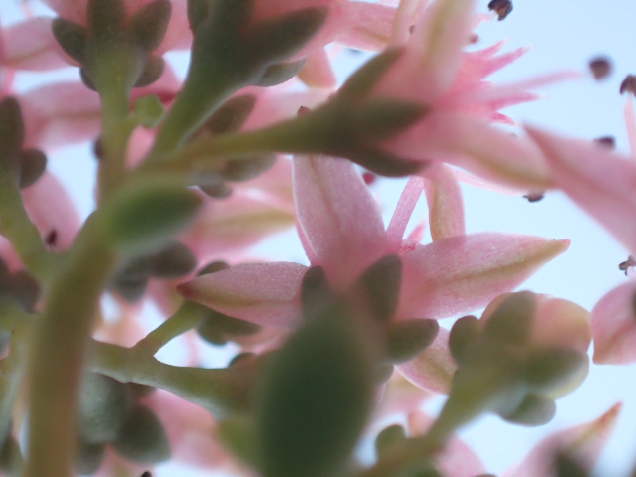 PB160812.JPG