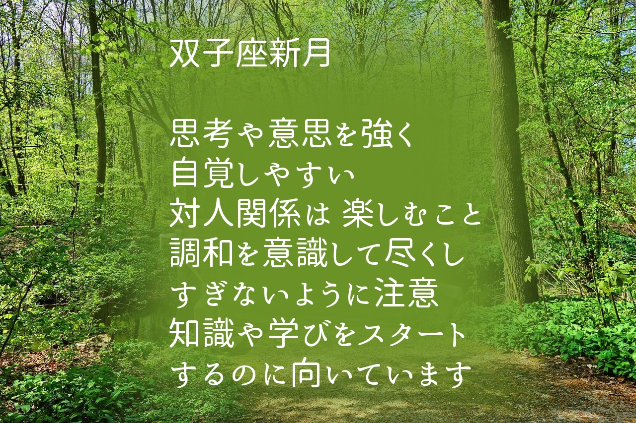 ふたご座新月.jpg