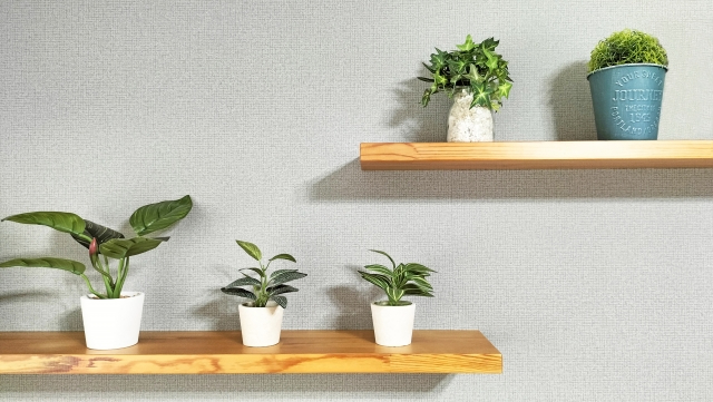 棚鉢植え付き.jpg