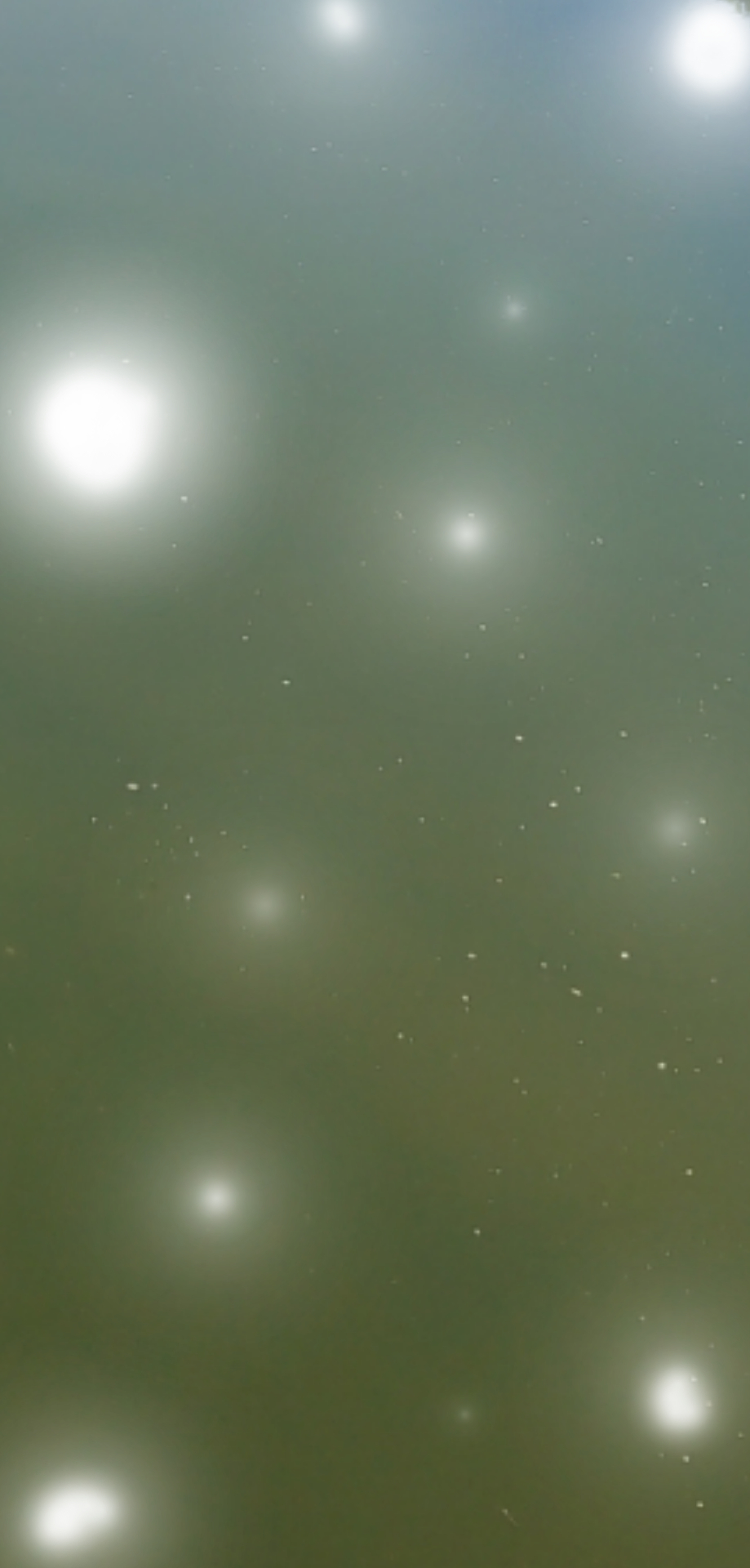 sketch-1785050612563.png