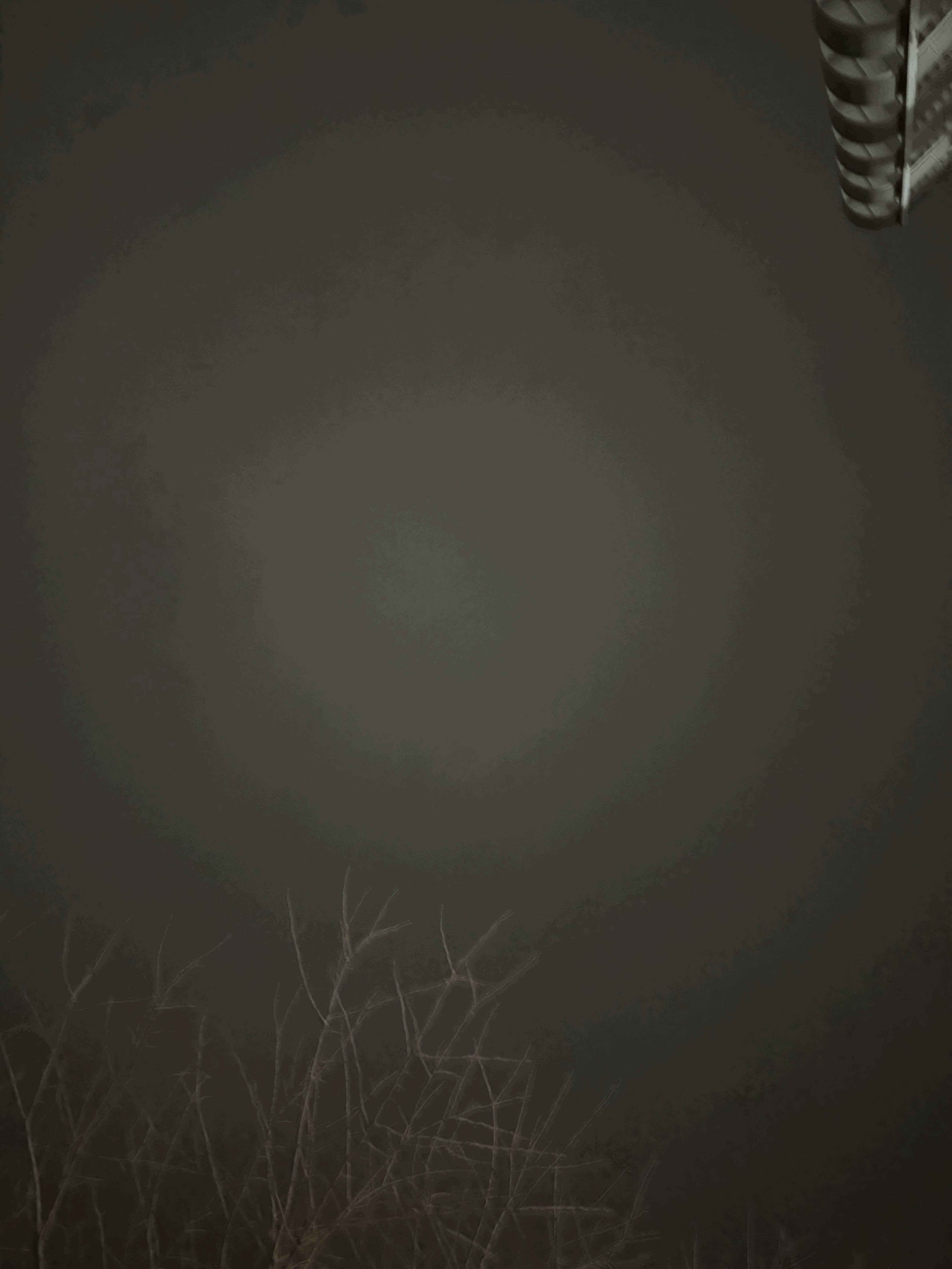 tempImageKQer0F.gif
