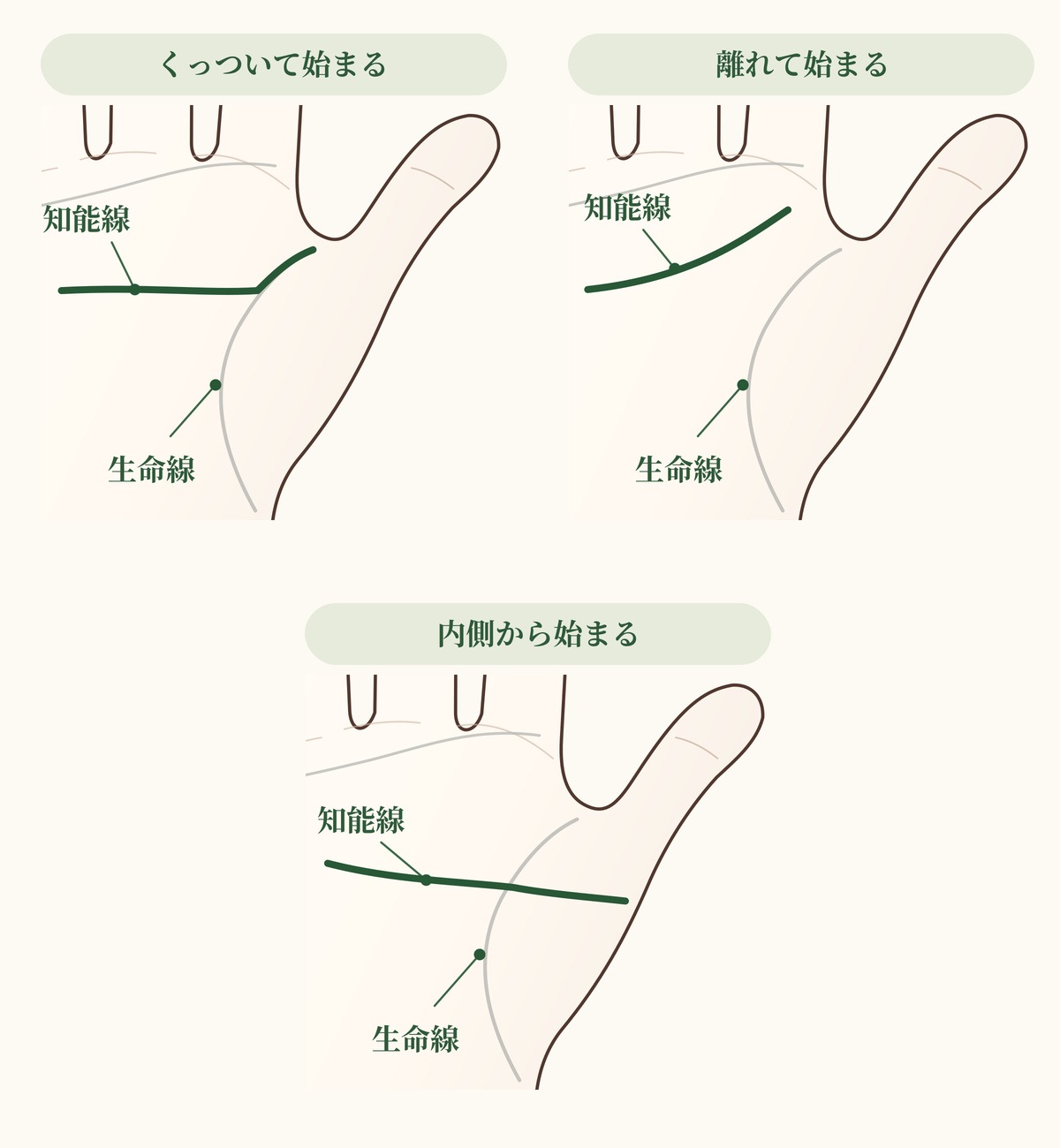 chinousen-hajimari.jpg