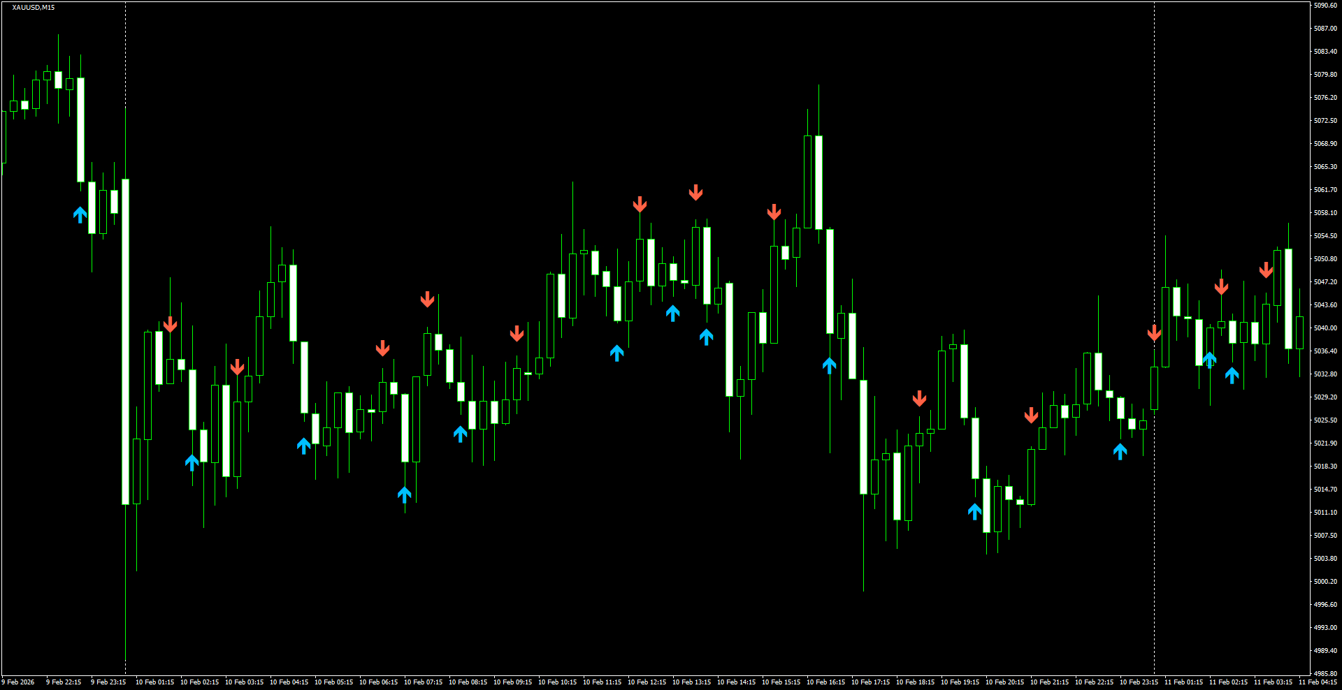 XAUUSD(M15)_2026.02.11_195622.png