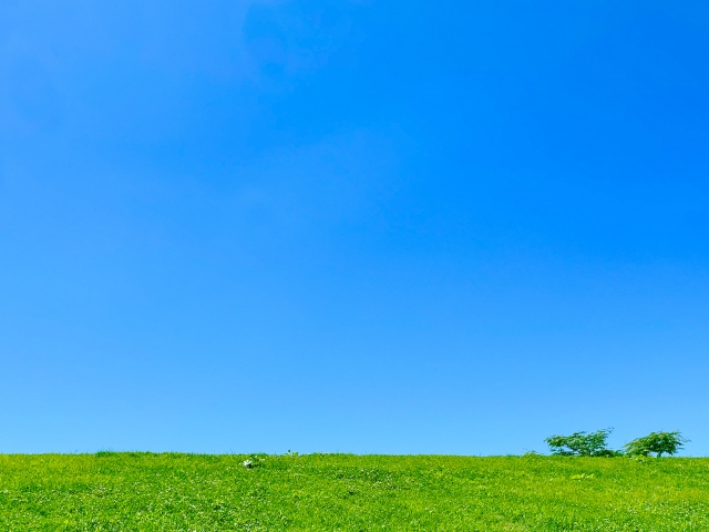 24610516_s-3.jpg