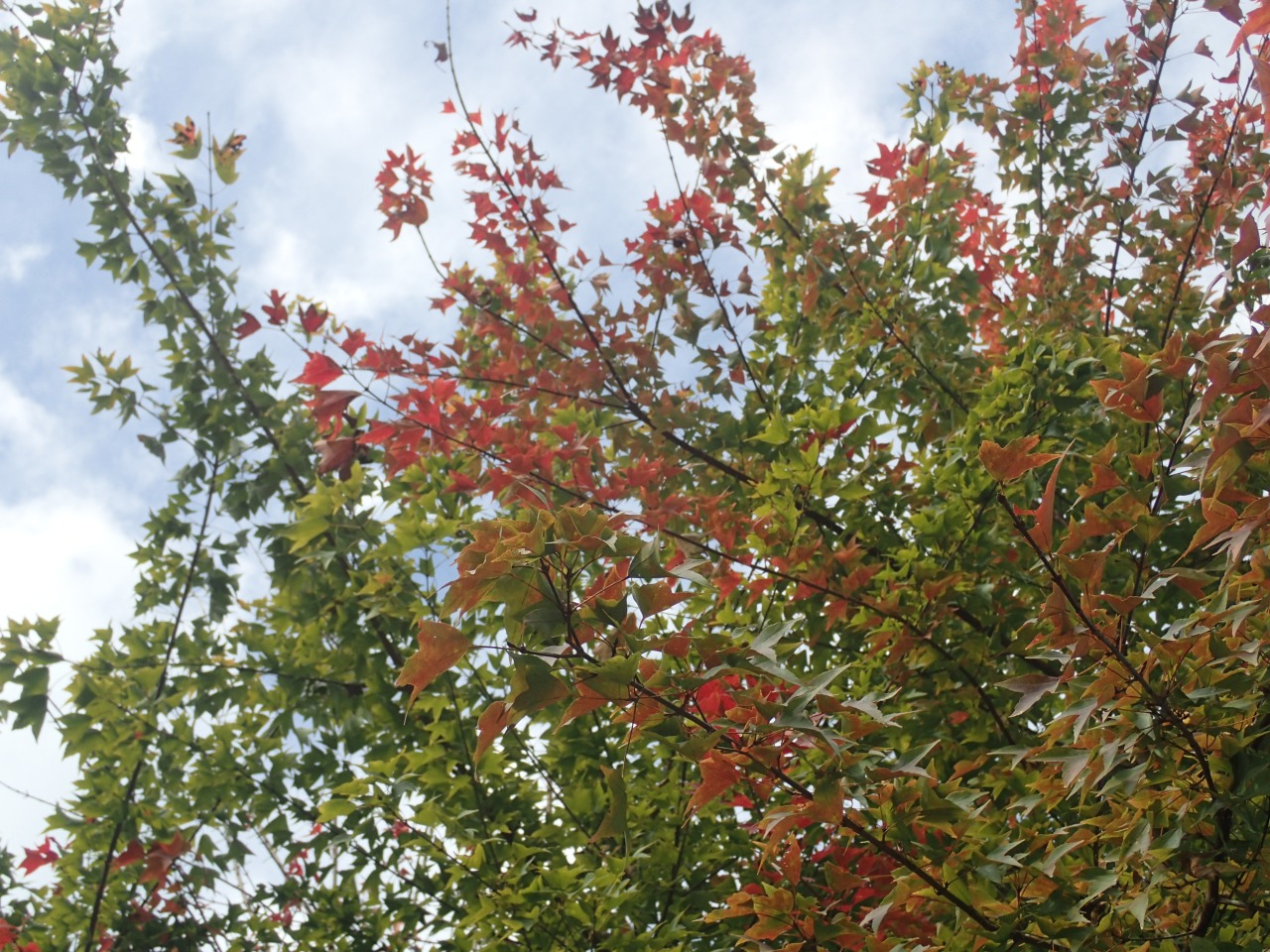 PA290331.JPG