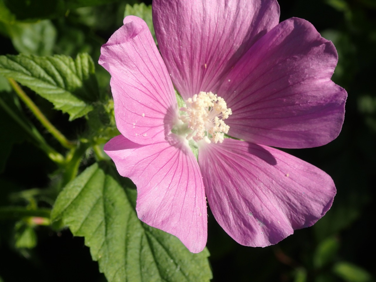 PB160539.JPG