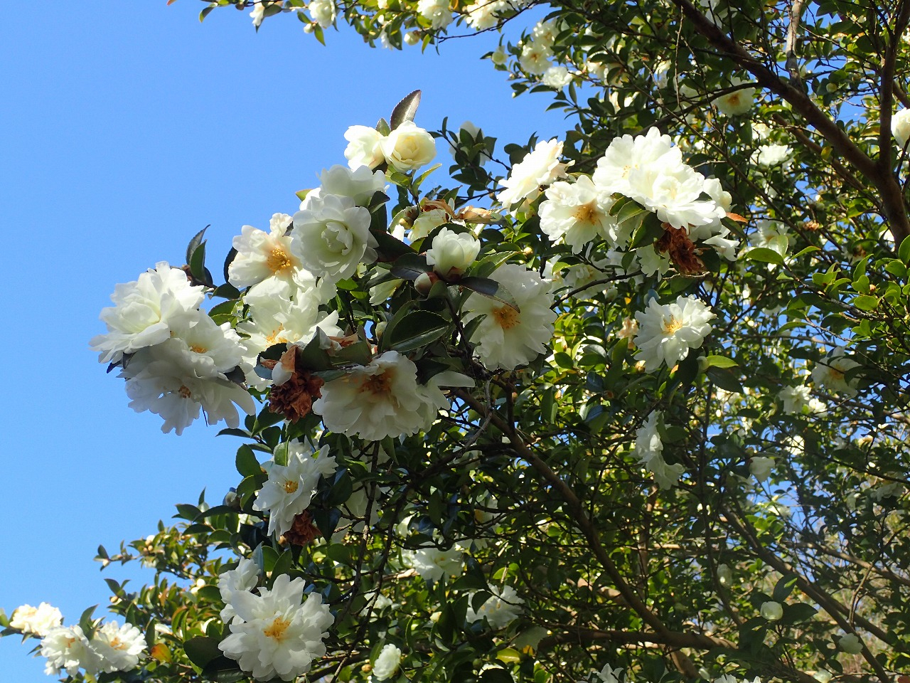 PC220804.jpg