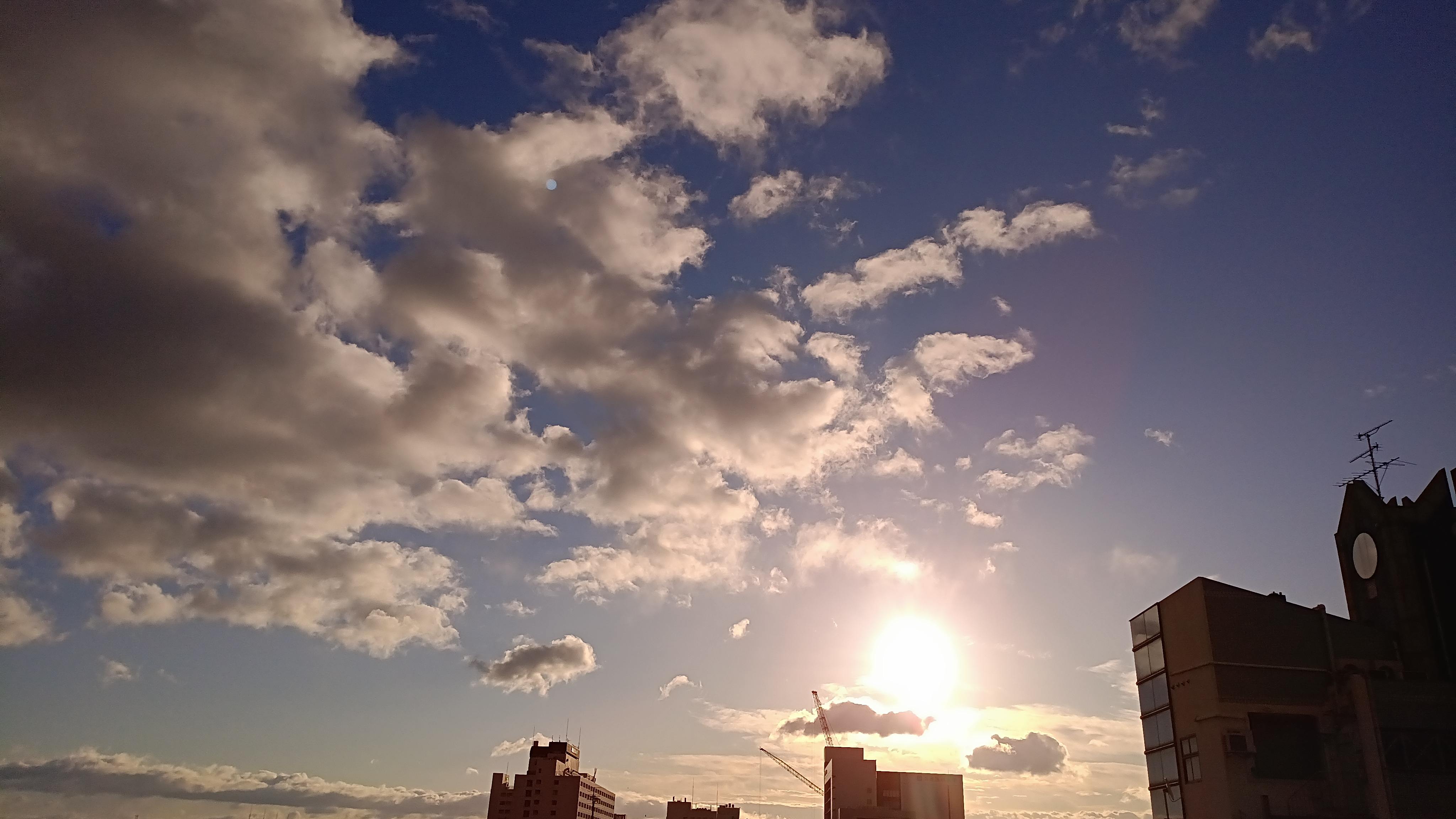 IMG_20250213_074151_714.jpg